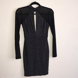 Mesh long sleeve glitter Dress